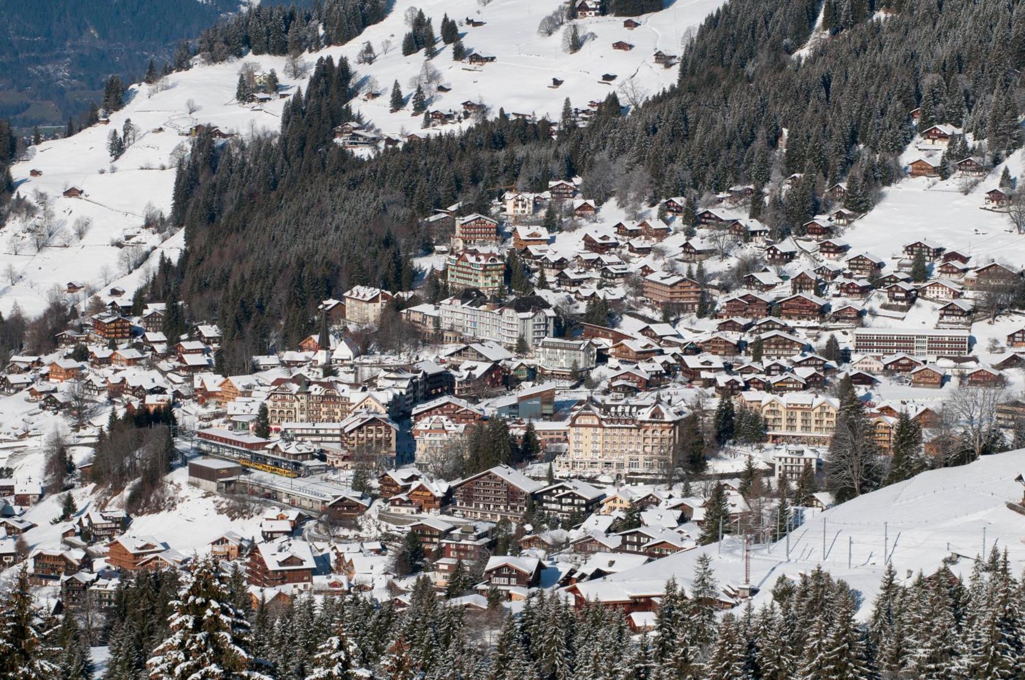 Hotel Edelweiss Βένγκεν Εξωτερικό φωτογραφία